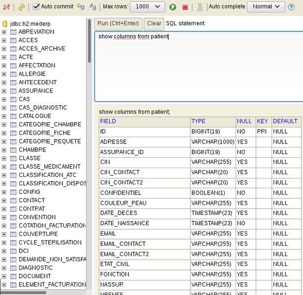 Fichier:Dbconsole requete.png